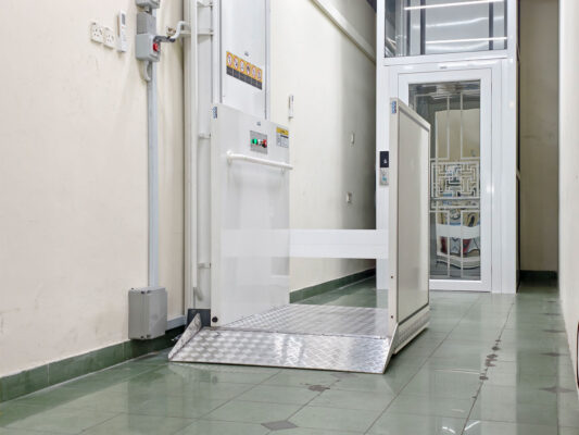 Platform Lift (1)a